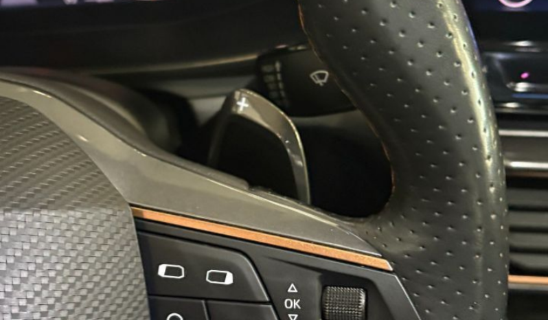 
CUPRA Formentor 2.0 TDI 150 CV 4Drive DSG completo									