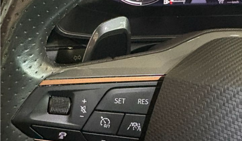 
CUPRA Formentor 2.0 TDI 150 CV 4Drive DSG completo									
